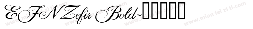 EFN Zefir Bold字体转换